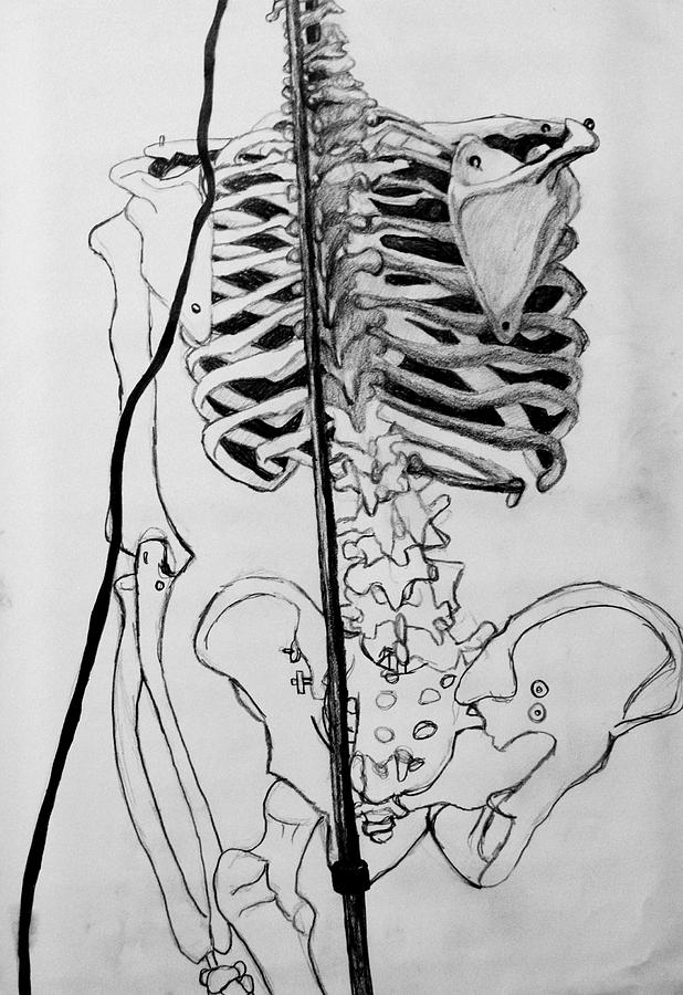 Crackling Bones Drawing by Jean Haynes
