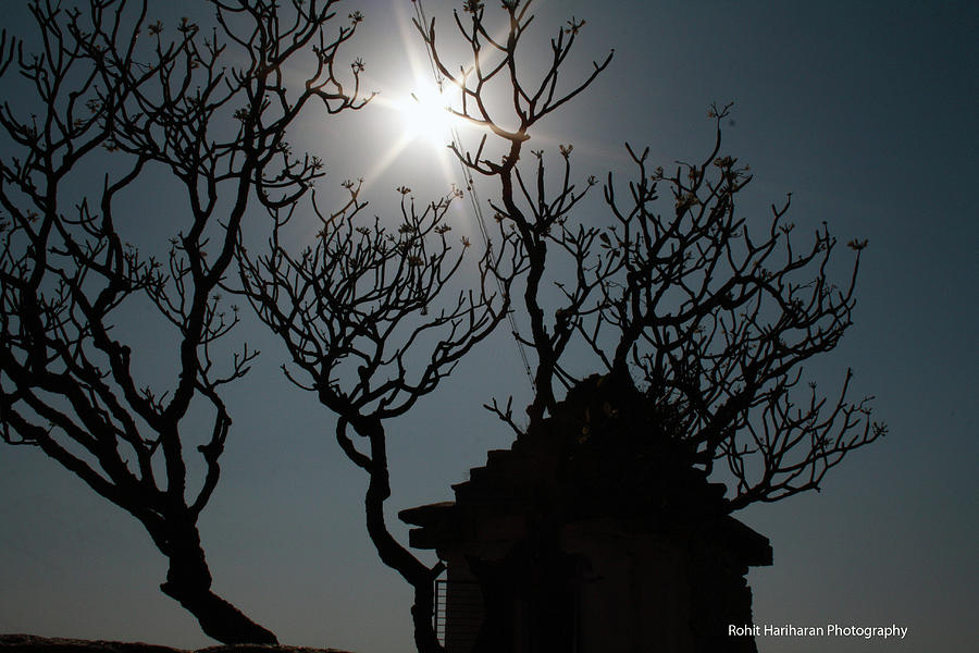 Landscape Photograph - Cracks against the sun by Rohit Hariharan