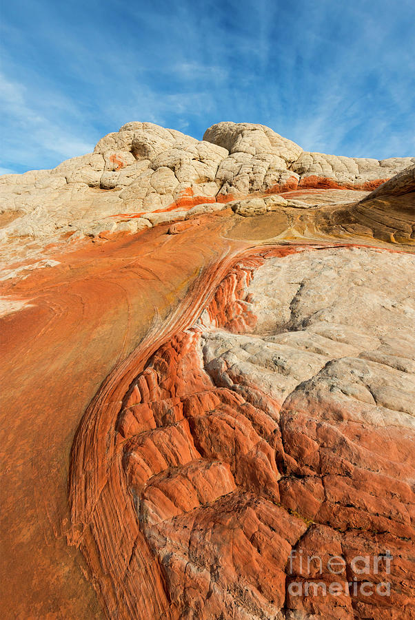 Desert Photograph - Cracks and Swirls by Michael Dawson