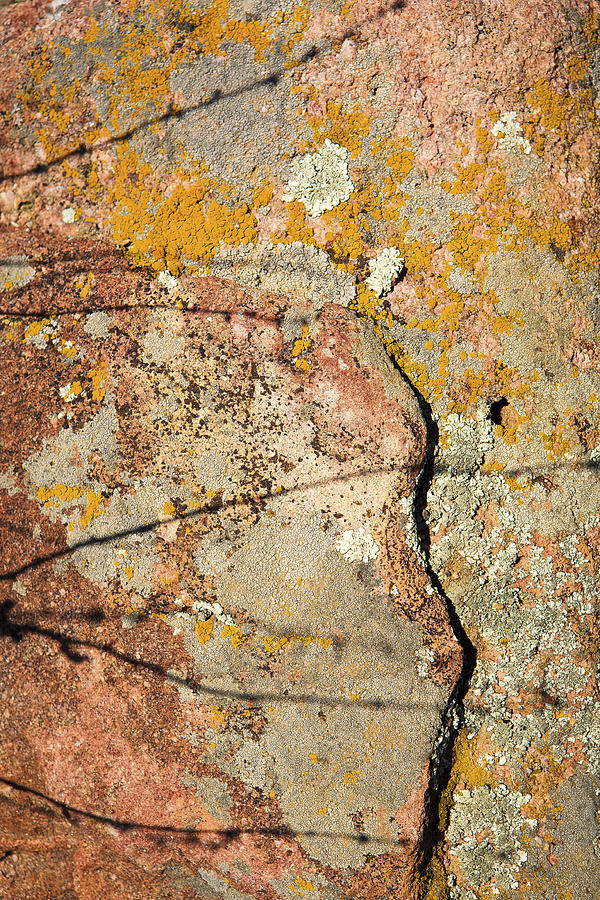 Nature Photograph - Cracks Shadows and Lichen by Marilyn Hunt