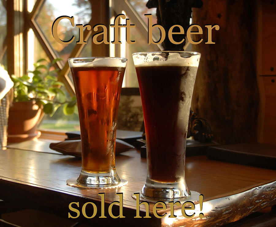 Craft beer sold here Photograph by David Lee Thompson