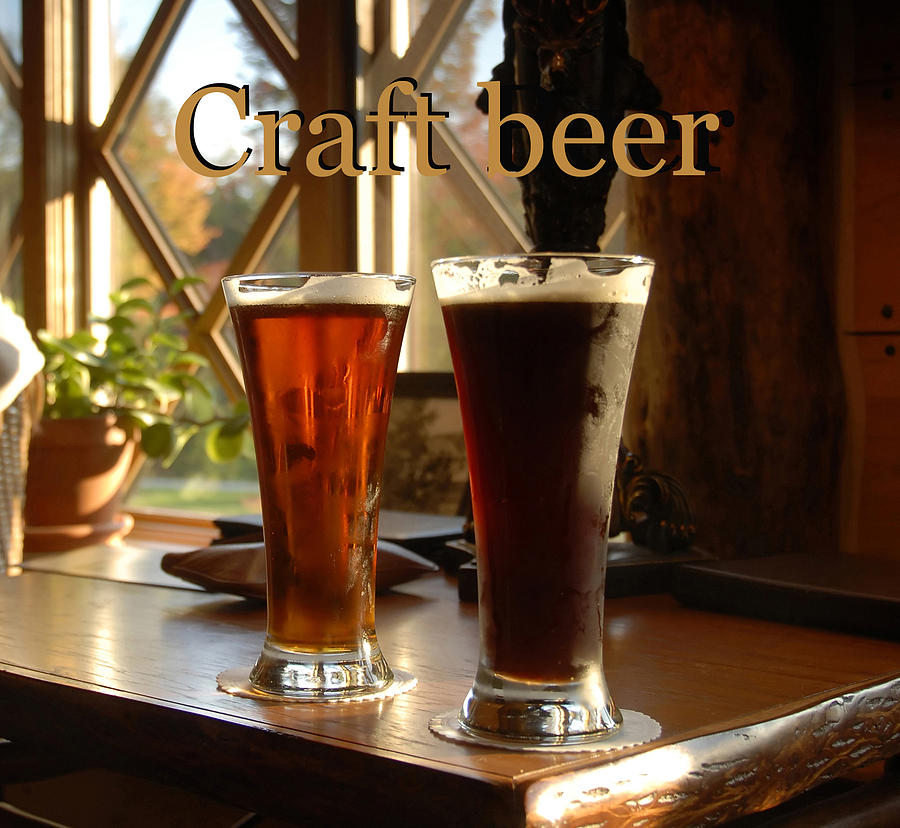 Crafting beer Photograph by David Lee Thompson