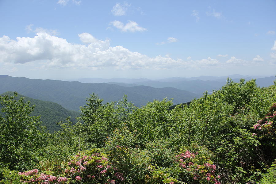 Craggy View Photograph by Allen Nice-Webb