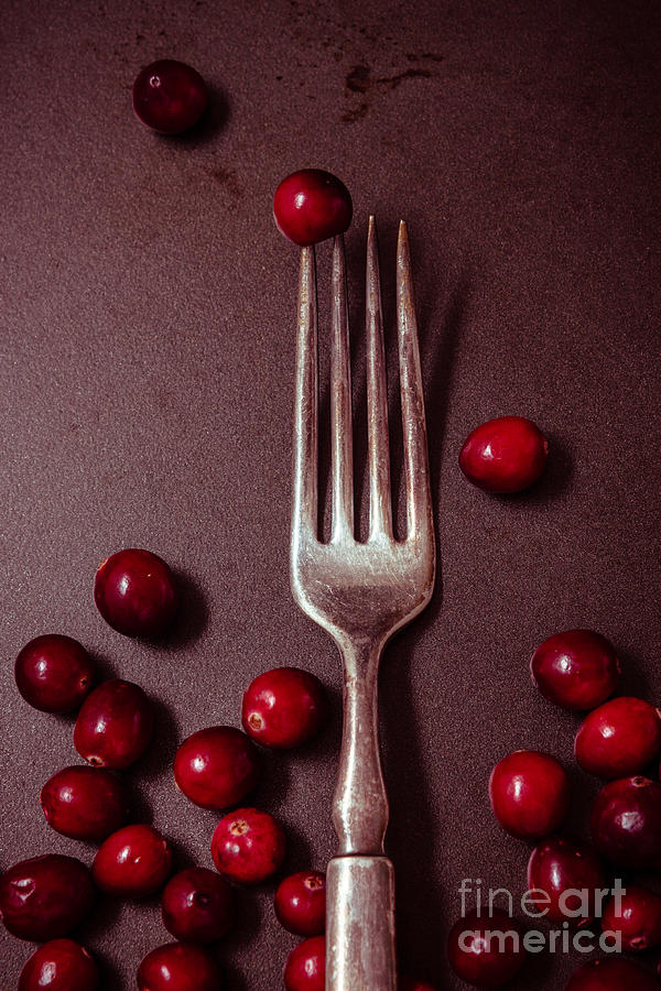 Red Berries Photograph - Cranberries and Fork by Ana V Ramirez