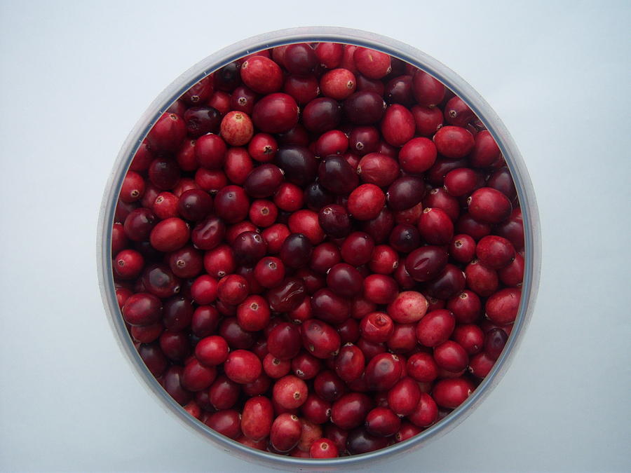 Cranberries any one Photograph by Conor Murphy