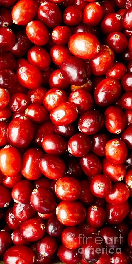 Cranberries Foodie Phone Case Photograph by Edward Fielding