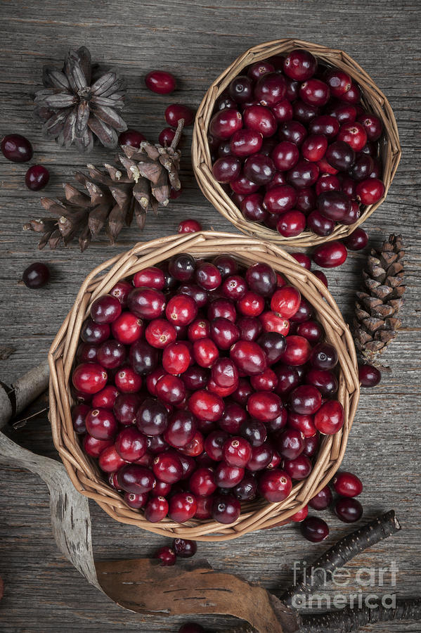 Cranberries in baskets Photograph by Elena Elisseeva