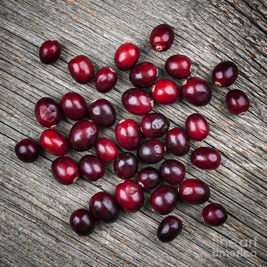 Thanksgiving Photograph - Cranberries on rustic wood by Elena Elisseeva