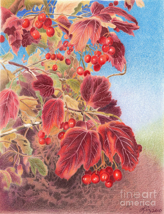 Cranberry Bush in Autumn by Elizabeth Dobbs Cranberry Bush in Autumn by Elizabeth Dobbs