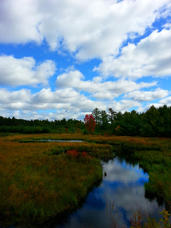 Cranberry Country 2 Photograph by Brook Burling