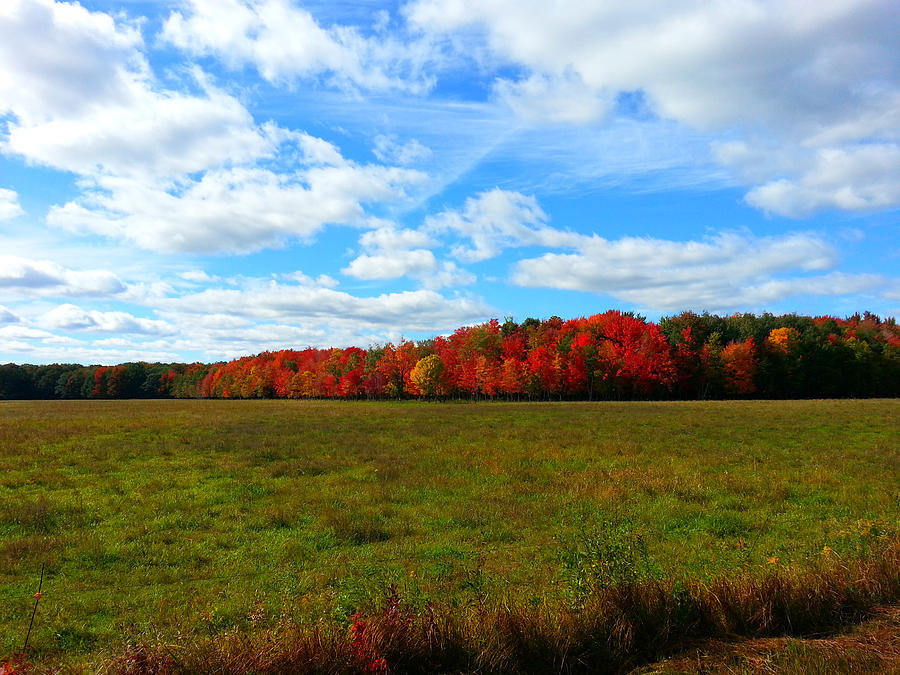 Cranberry Country 7 Photograph by Brook Burling