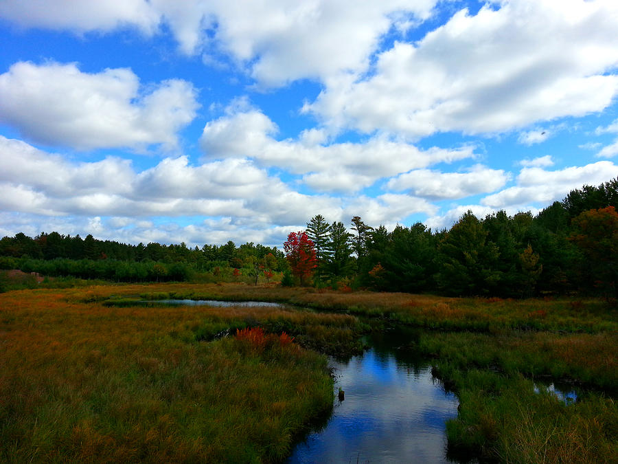 Cranberry Country Photograph by Brook Burling