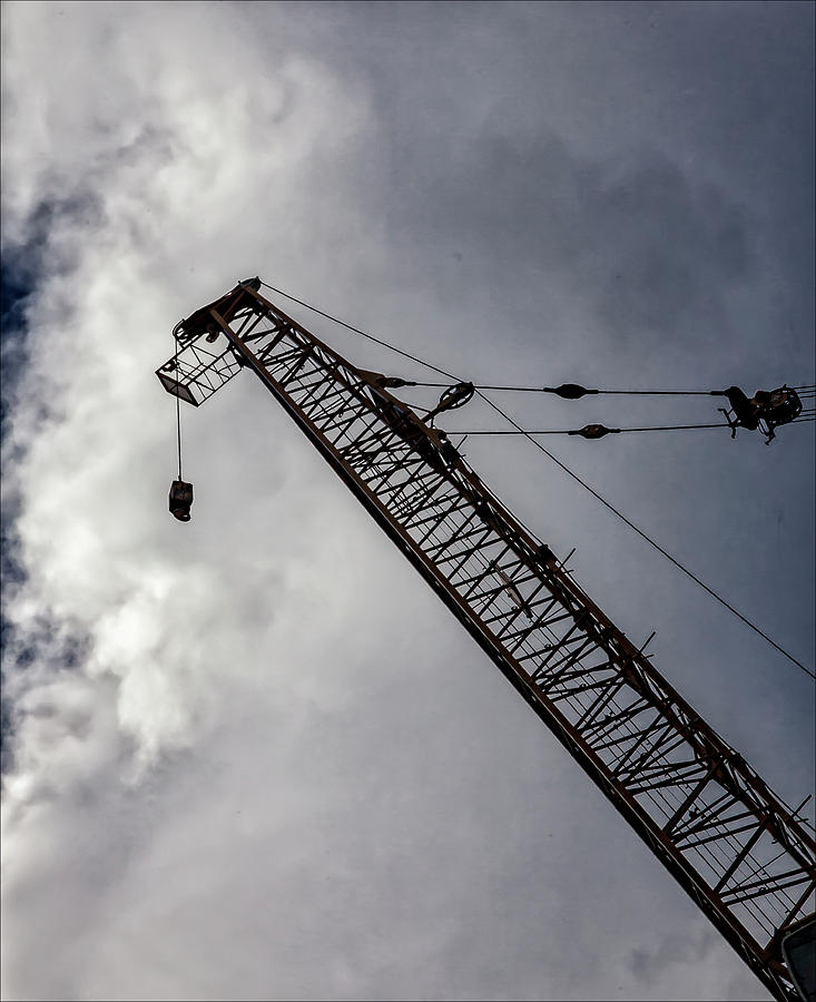 Crane and Clouds Photograph by Robert Ullmann