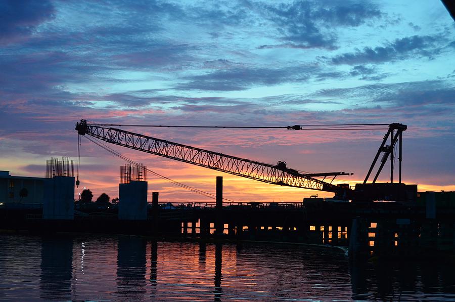 Crane at Sunset Photograph by Warren Thompson