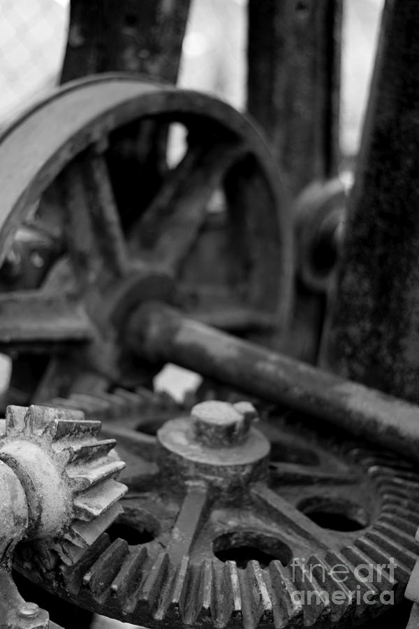 Crane Gears Photograph by Roger Lighterness