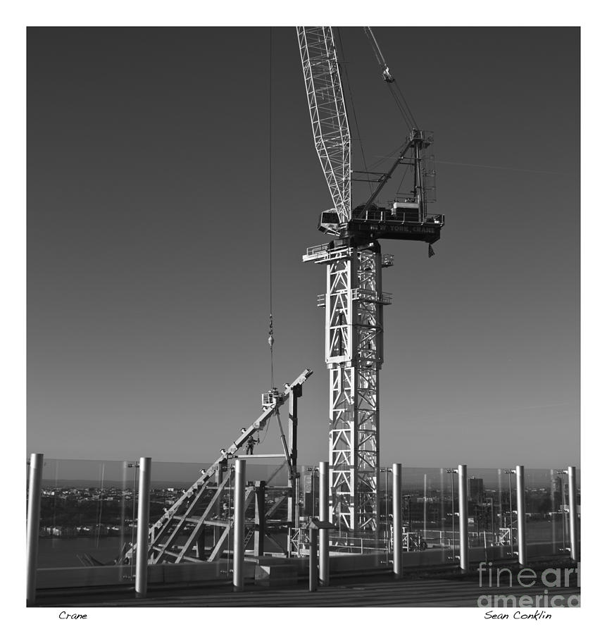 Crane Photograph by Sean Conklin