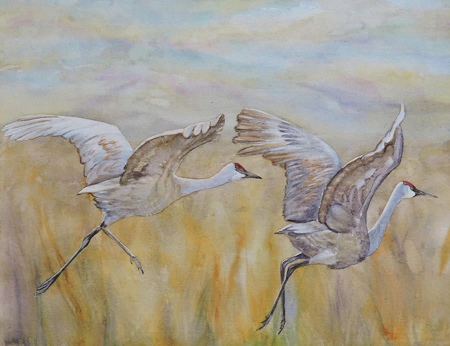 Cranes Alight Painting by Vicky Lilla - Fine Art America