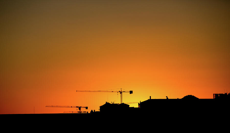 Cranes at Sunset Photograph by Darryl Brooks