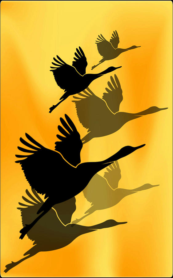 Bird Digital Art - Cranes in flight by Rumiana Nikolova