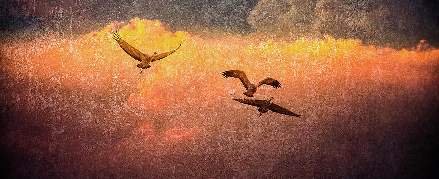 Cranes Lifting Into The Sky by Jeffrey Jensen Cranes Lifting Into The Sky by Jeffrey Jensen