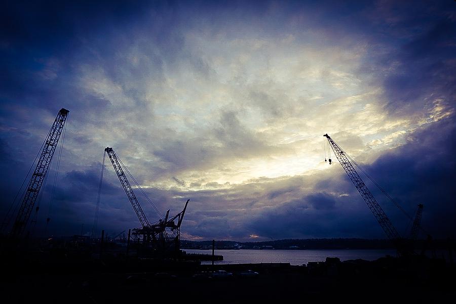 Cranes - Seattle Photograph by Desmond Raymond