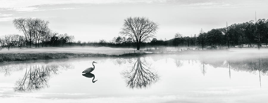 Landscape Photograph - Cranes World by Ahmed Shanab Landscape Photograph - Cranes World by Ahmed Shanab