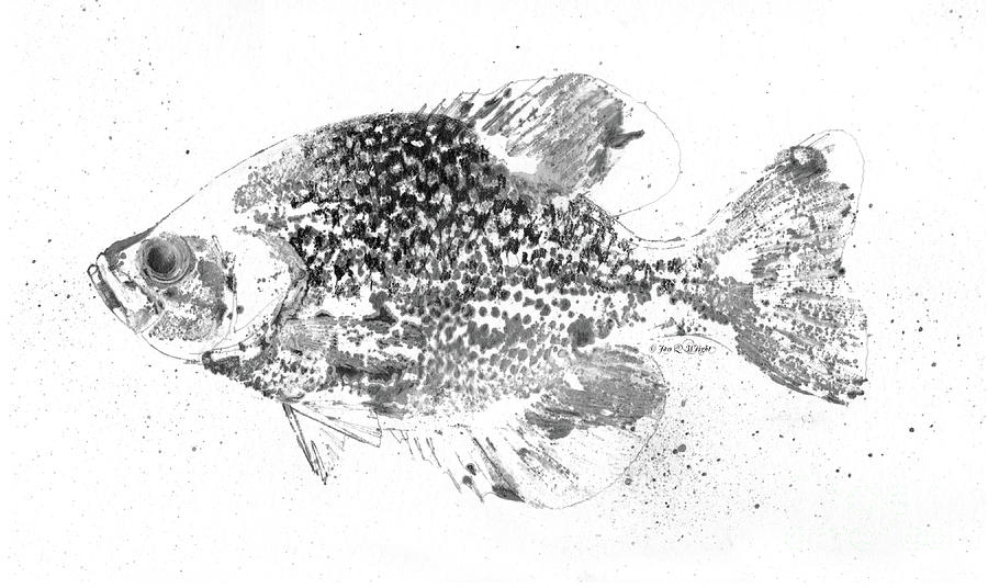 Crappie Abstract Painting by Jon Q Wright