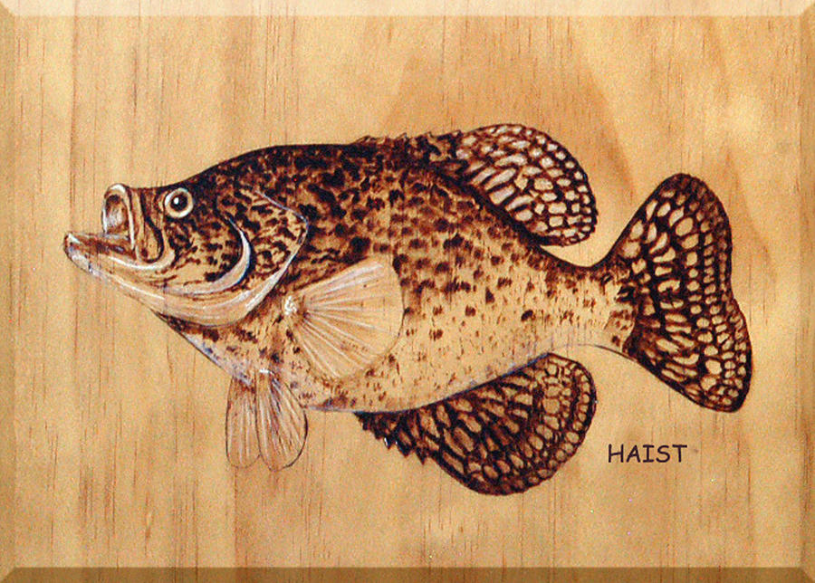 Crappie Pyrography by Ron Haist