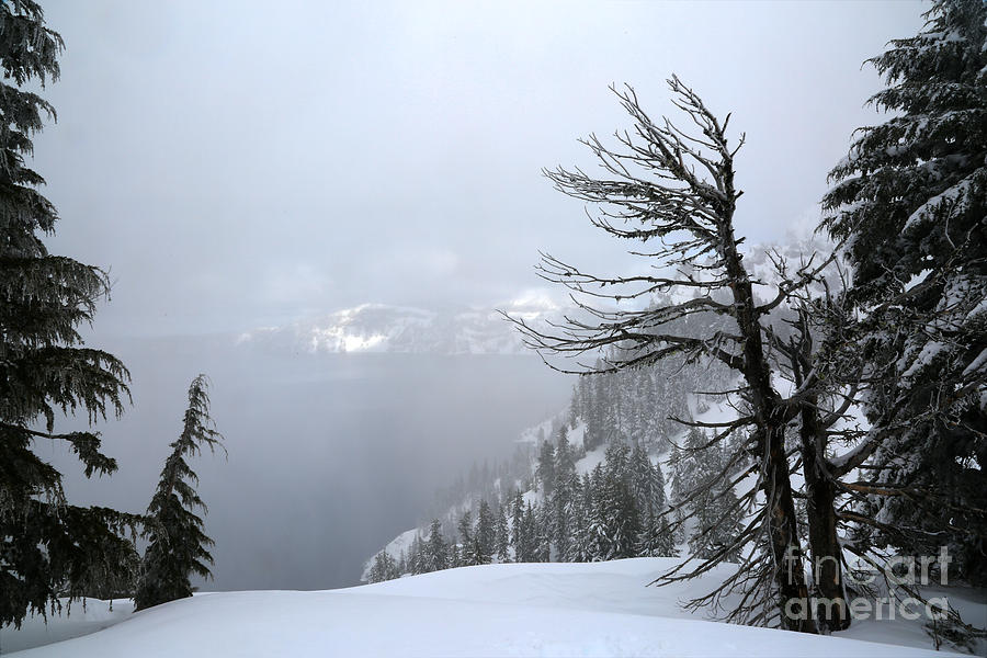 Crate Lake Winter Fog Photograph by Adam Jewell