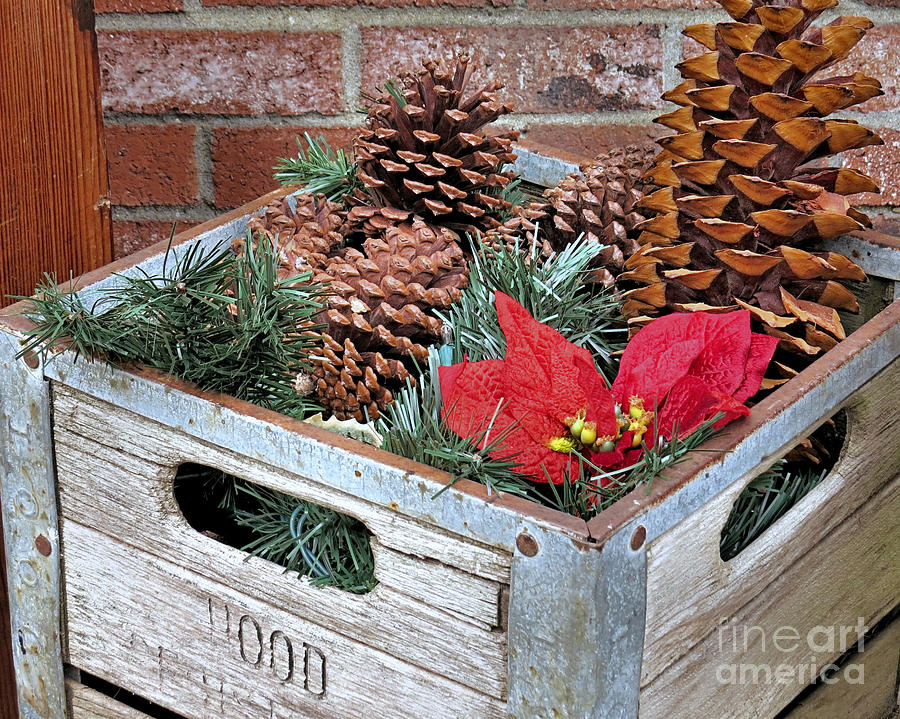 Crate of Pine Cones Photograph by Janice Drew