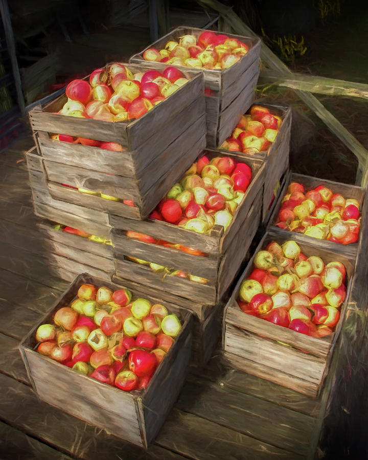 Crated Apples waiting for the Cider Press Painterly Version Photograph by Randall Nyhof