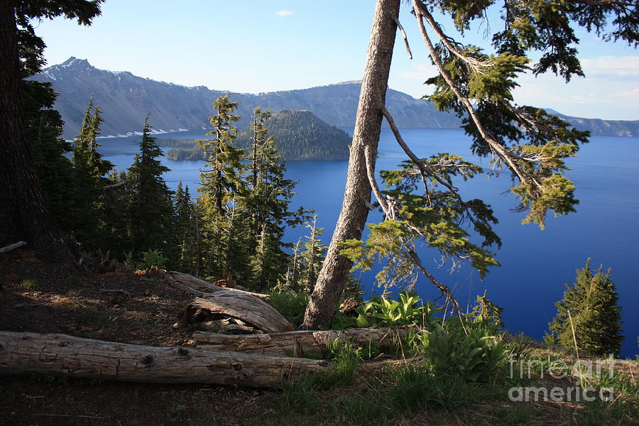 Crater Lake 9 Photograph by Carol Groenen