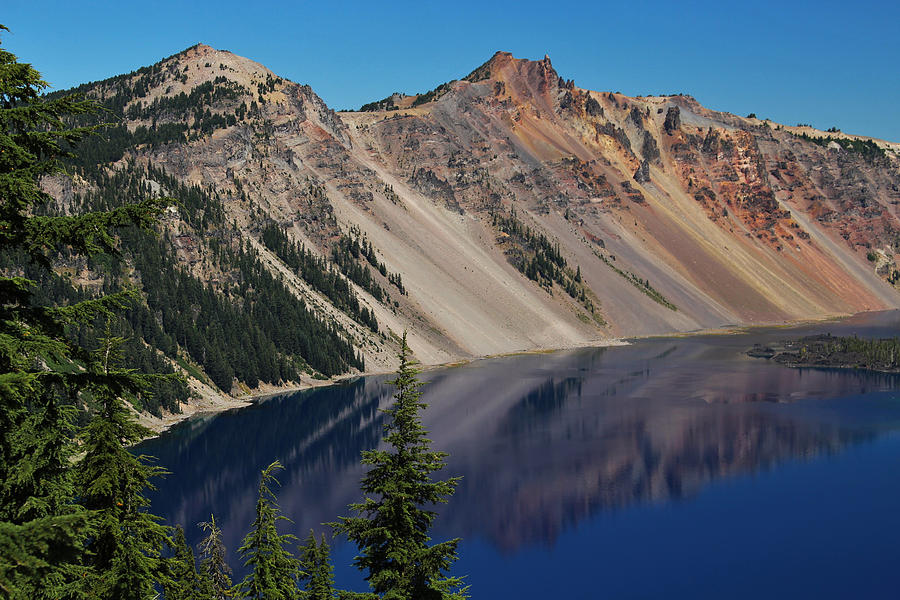 Tree Photograph - Crater Lake Blues by Marnie Patchett