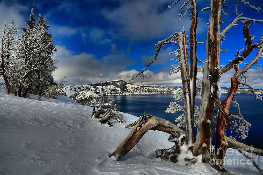 Crater Lake Frosted Paradise Photograph by Adam Jewell