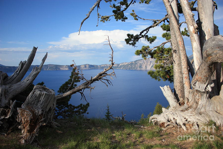 Crater Lake Perspective Photograph by Carol Groenen