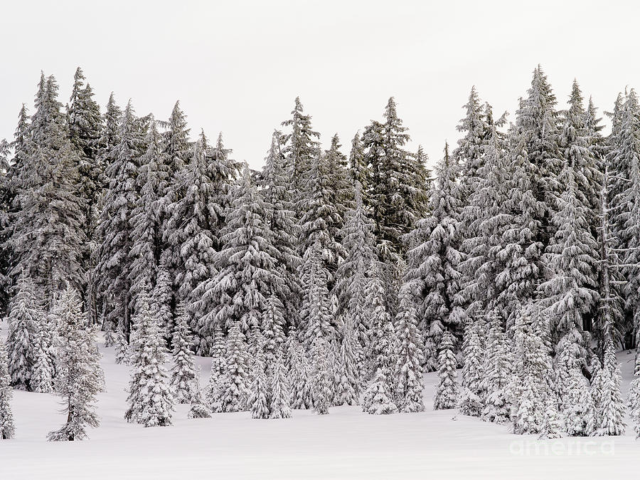 Crater Lake Snow Photograph by Tracy Knauer - Fine Art America