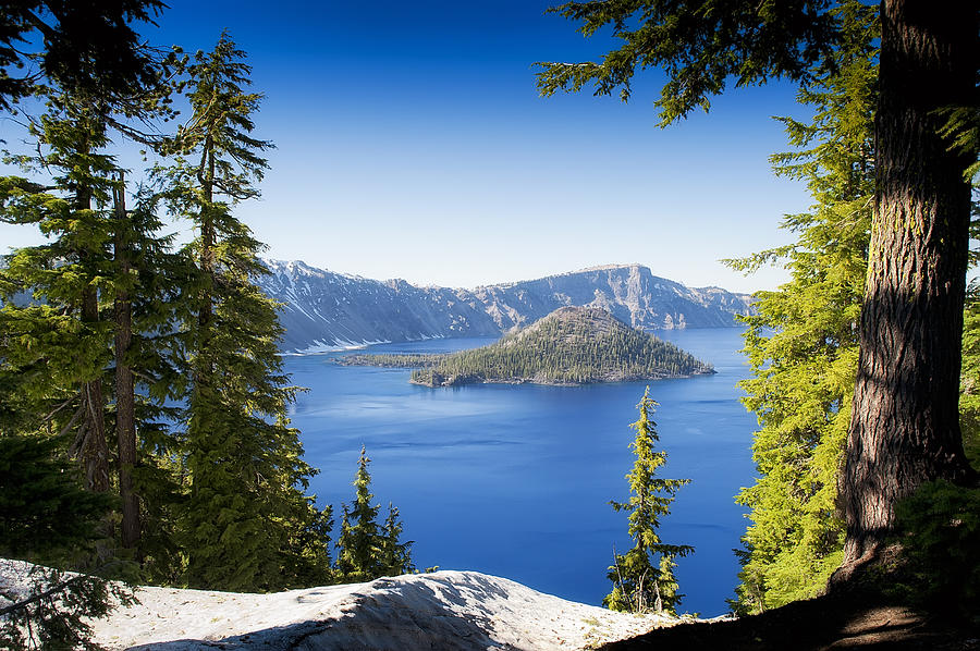 Tree Photograph - Crater Lake by Wade Aiken