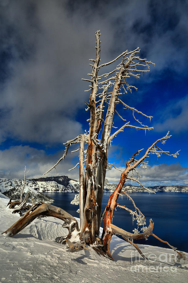 Crater Lake Winter Portrait Photograph by Adam Jewell