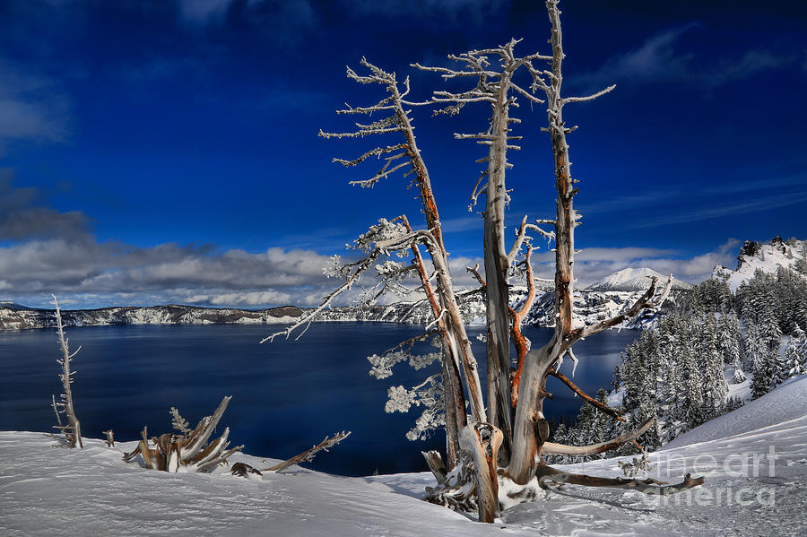 Crater Lake Winter Scene Photograph by Adam Jewell