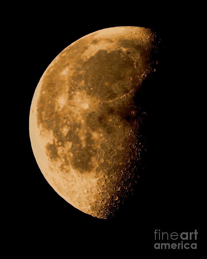 Cratered Moon Photograph by Scott Cameron