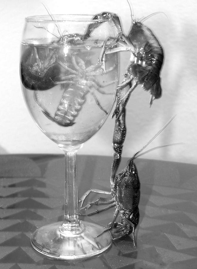 New Orleans Photograph - Crawdad Cocktail by Stephen Muller