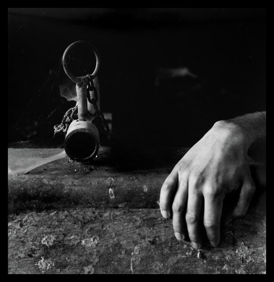 Crawling hand Photograph by Dirk Ercken