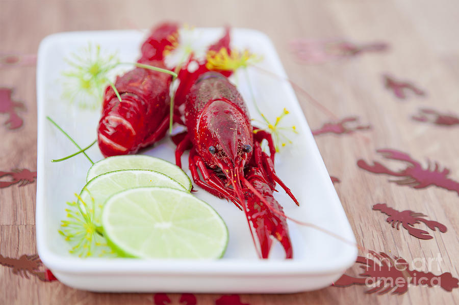 Crayfish and lime Photograph by Sophie McAulay