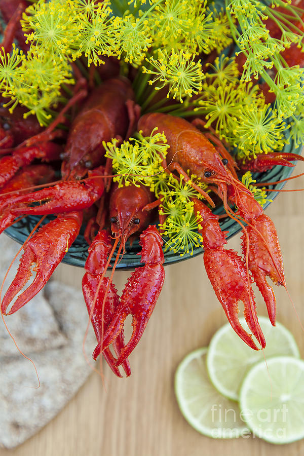 Crayfish and sprigs of dill Photograph by Sophie McAulay
