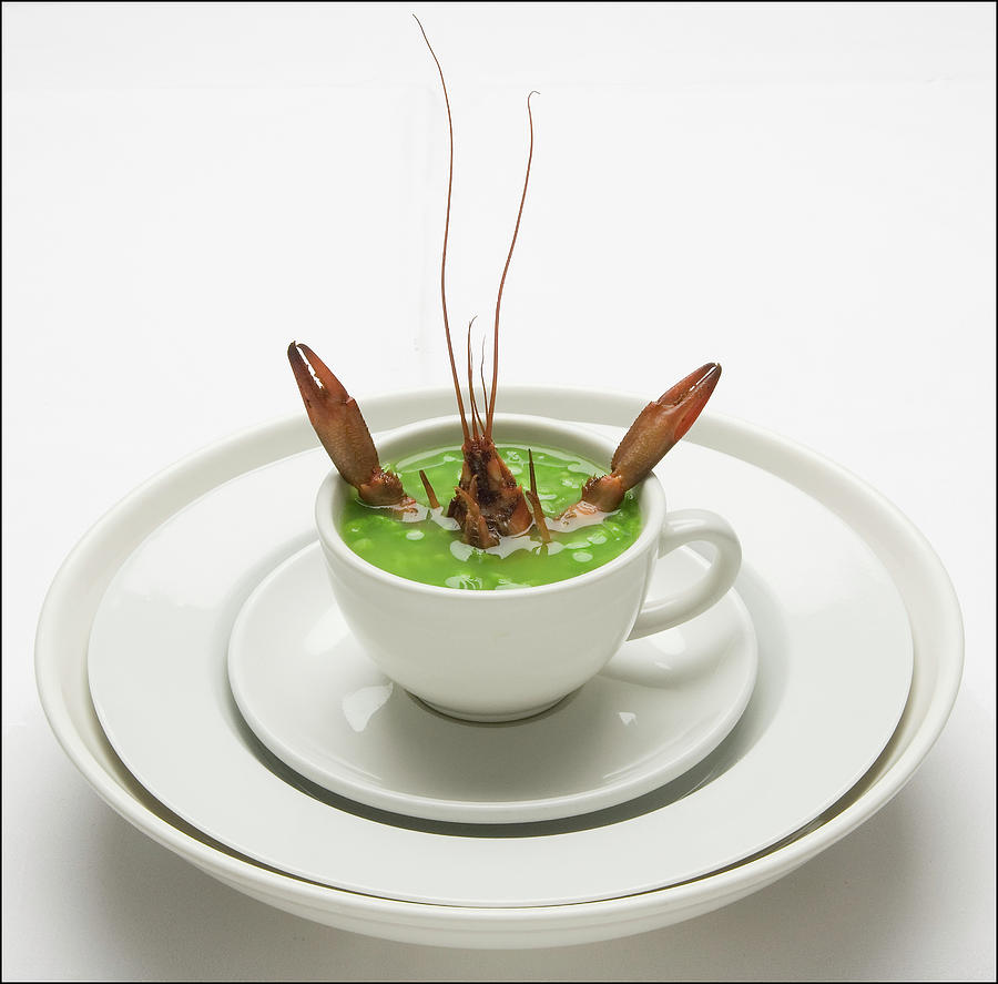 Crayfish with pea soup Photograph by Frank Lee