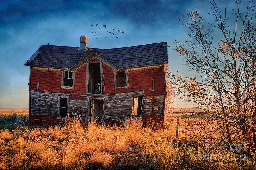 Fall Photograph - Crazy Bears House by Priscilla Burgers