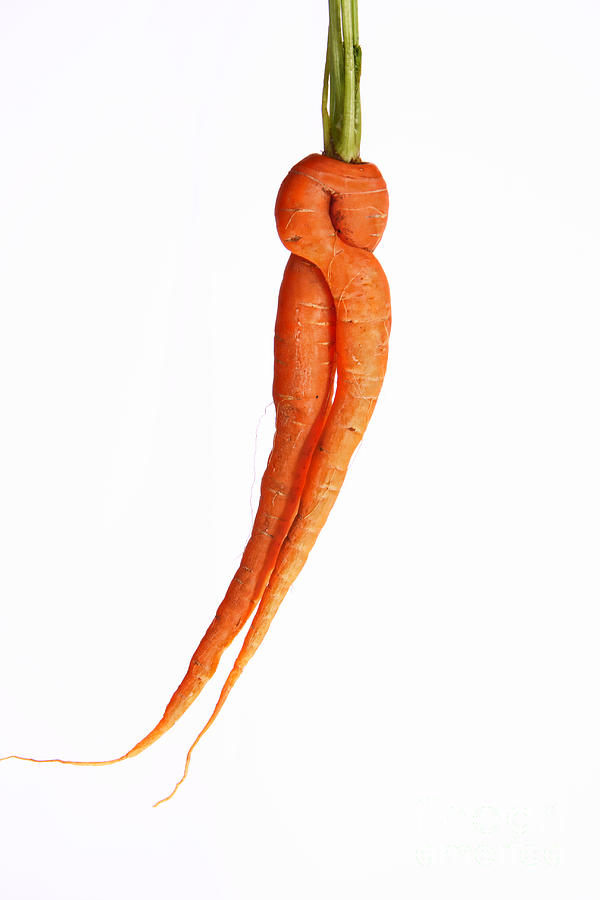Carrot Photograph - Crazy Carrot Fine Art Food Photography by James BO Insogna