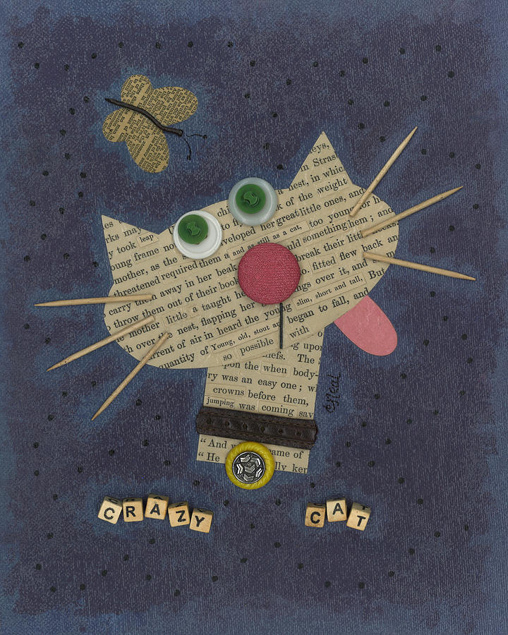 Vintage Mixed Media - Crazy Cat by Carol Neal
