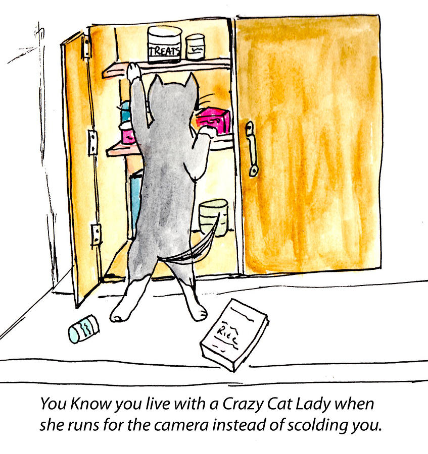 Crazy Cat Lady 001 Painting by Lou Belcher