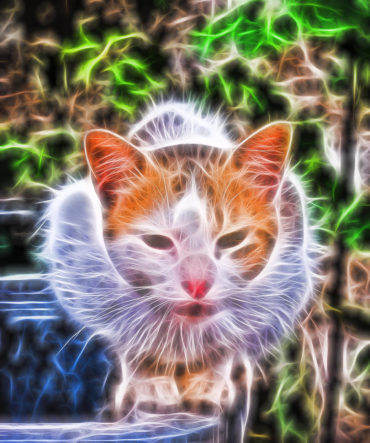 Crazy Cat Digital Art by Roy Pedersen